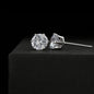 Cubic Zirconia Earrings - Give Smiles Away