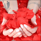 Rose Petals - Give Smiles Away